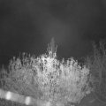 Webcam_20201110-061500