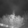 Webcam_20201110-063000