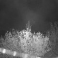 Webcam_20201110-070000