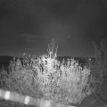 Webcam_20201110-071500