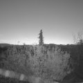 Webcam_20201110-074500