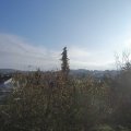 Webcam_20201110-111500