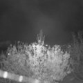 Webcam_20201110-190000