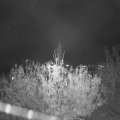 Webcam_20201110-194500