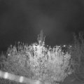 Webcam_20201110-200000