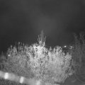 Webcam_20201110-213000