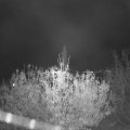 Webcam_20201110-214500