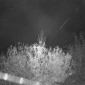 Webcam_20201111-051500