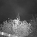 Webcam_20201111-060000