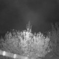 Webcam_20201111-063000