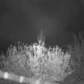 Webcam_20201111-073000