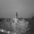 Webcam_20201111-080000