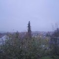 Webcam_20201111-081500