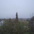 Webcam_20201111-123000