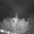 Webcam_20201111-184500