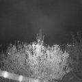 Webcam_20201111-191500