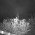 Webcam_20201111-194500