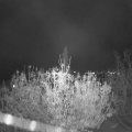 Webcam_20201111-201500