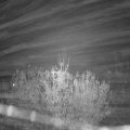 Webcam_20201111-214500