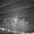 Webcam_20201111-220000