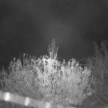 Webcam_20201112-050000