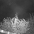 Webcam_20201112-051500