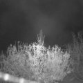 Webcam_20201112-053000