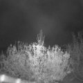 Webcam_20201112-063000