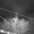Webcam_20201112-064500