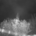 Webcam_20201112-070000