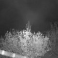 Webcam_20201112-071500