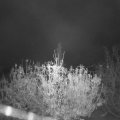 Webcam_20201112-073000
