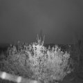Webcam_20201112-074500