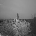 Webcam_20201112-080000