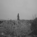 Webcam_20201112-081500