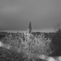 Webcam_20201112-181500