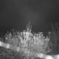 Webcam_20201112-184500