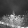 Webcam_20201112-204500