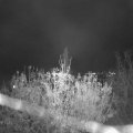 Webcam_20201112-210000