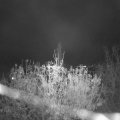 Webcam_20201112-214500