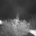 Webcam_20201113-050000