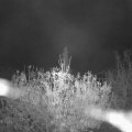 Webcam_20201113-051500