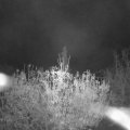 Webcam_20201113-053000