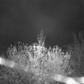 Webcam_20201113-060000