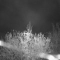 Webcam_20201113-061500