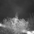 Webcam_20201113-063000