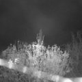 Webcam_20201113-064500