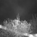 Webcam_20201113-070000