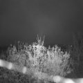 Webcam_20201113-074500