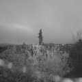 Webcam_20201113-080000